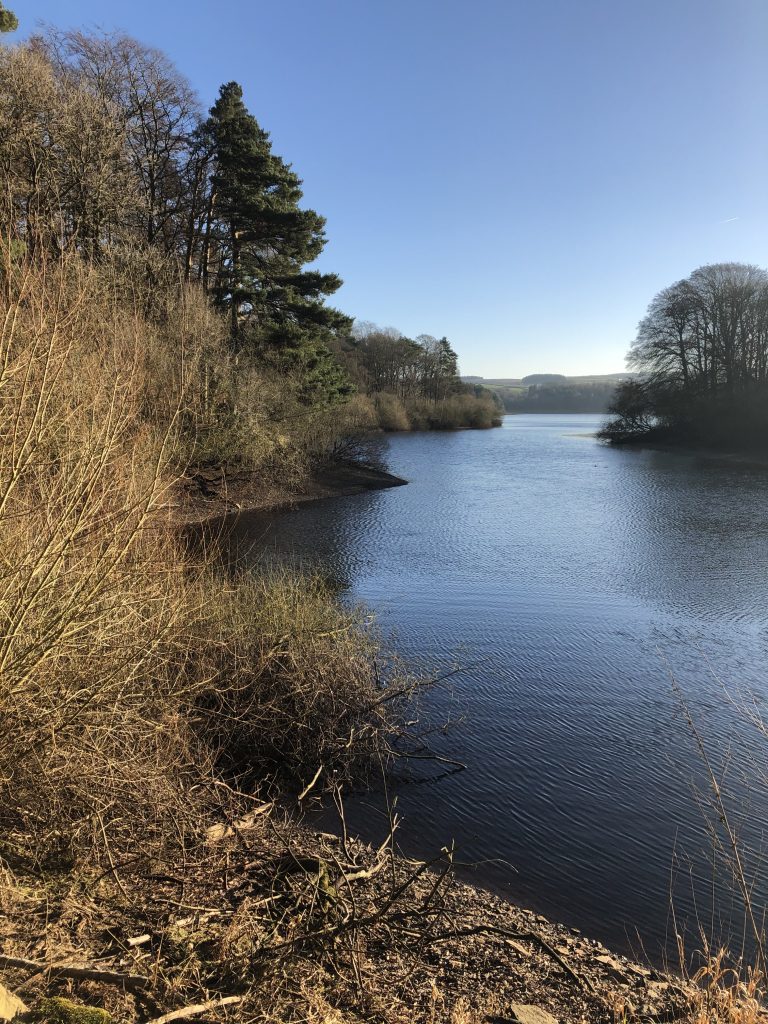 fewston reservoir