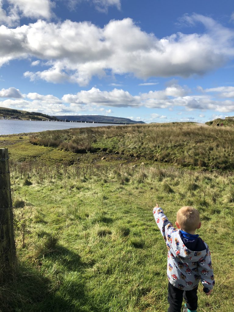 watching the boats on the water