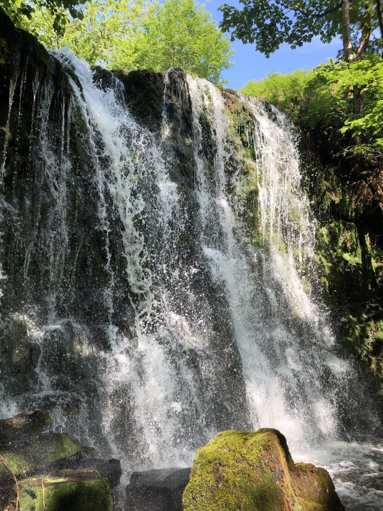 Scale Haw Force waterfall in the yorkshire dales