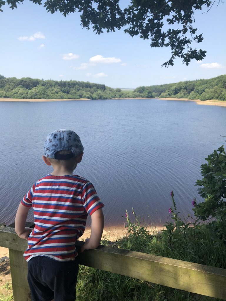 Looking out over Swinsty Reservoir