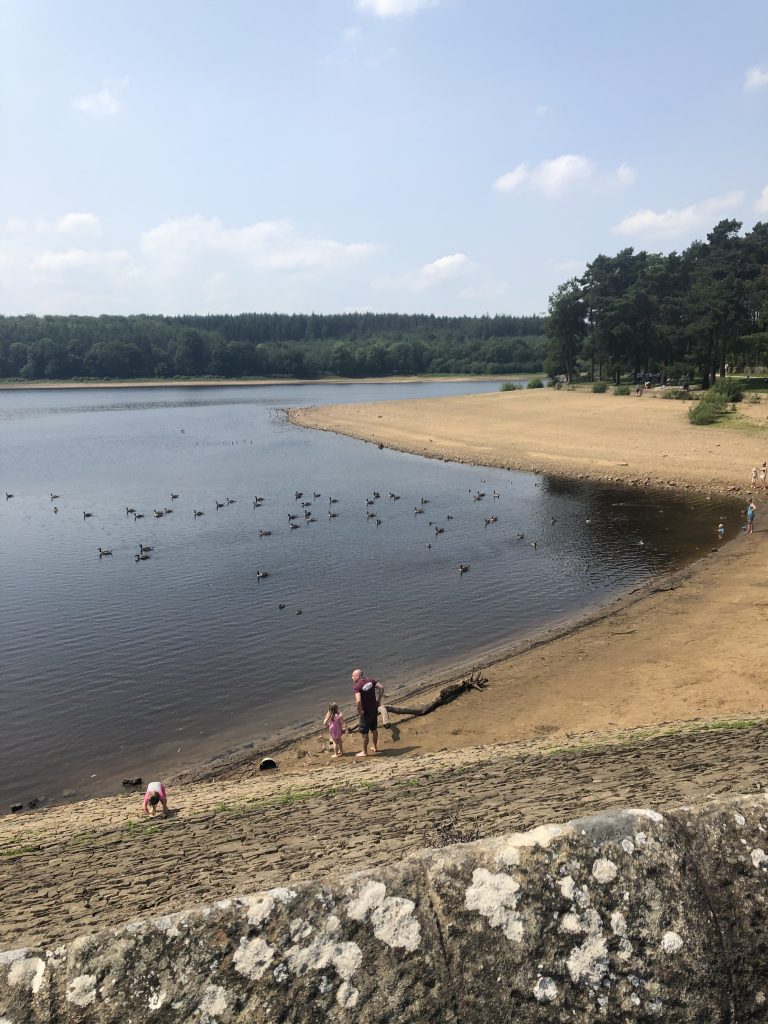 swinsty beach - paddle spot