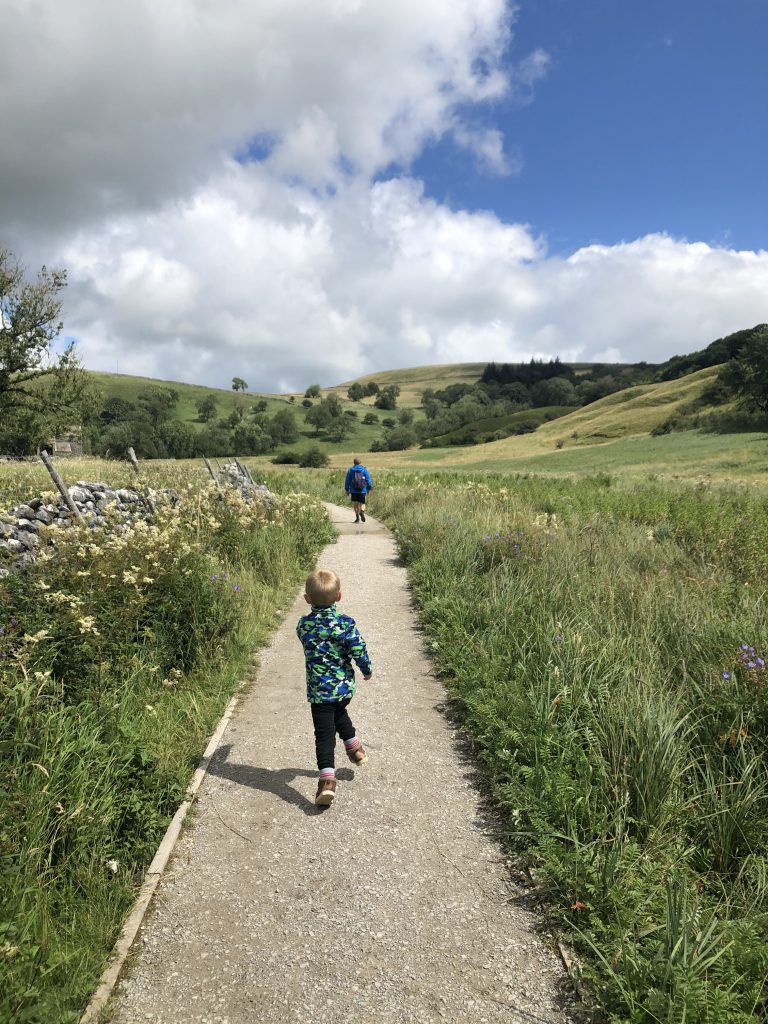 Walking through the meadow to Janet's Foss