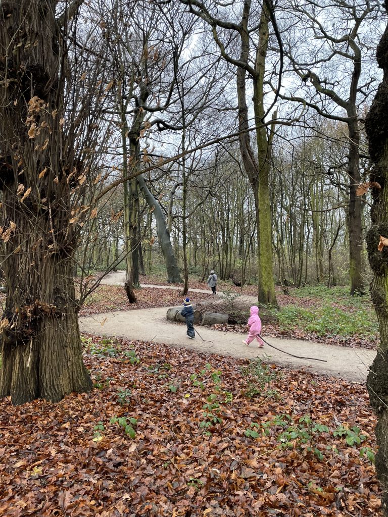 nostell priory woodland walk