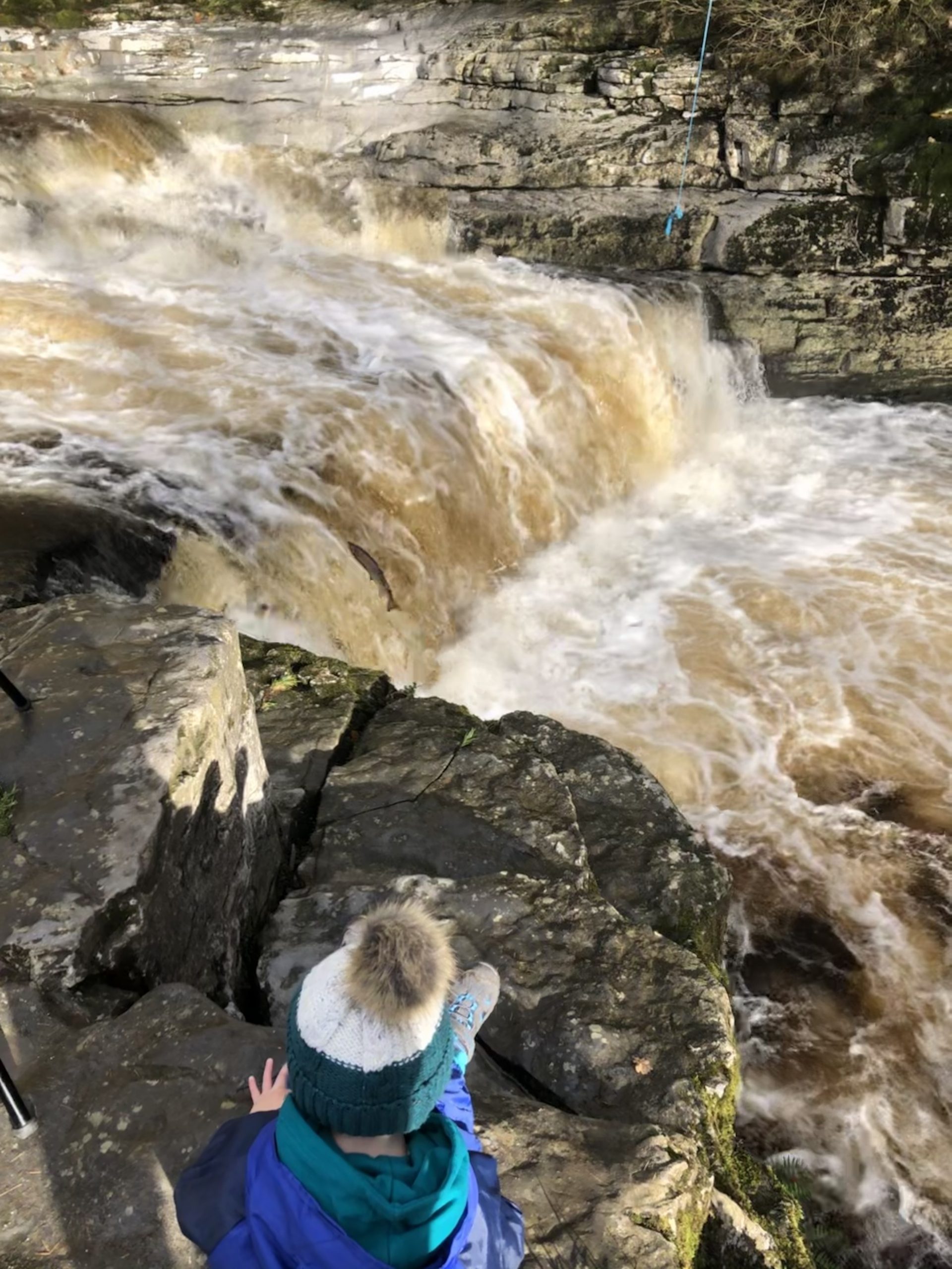 Stainforth Force Little Miss Yorkshire