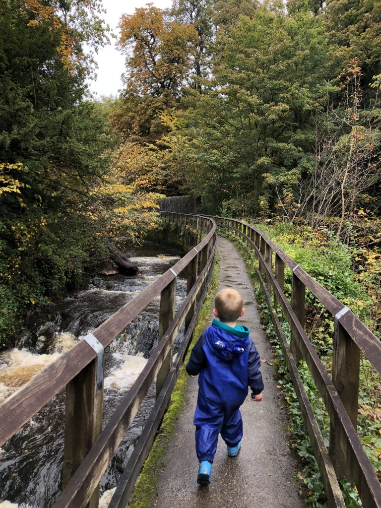 skipton woods -autumn walks