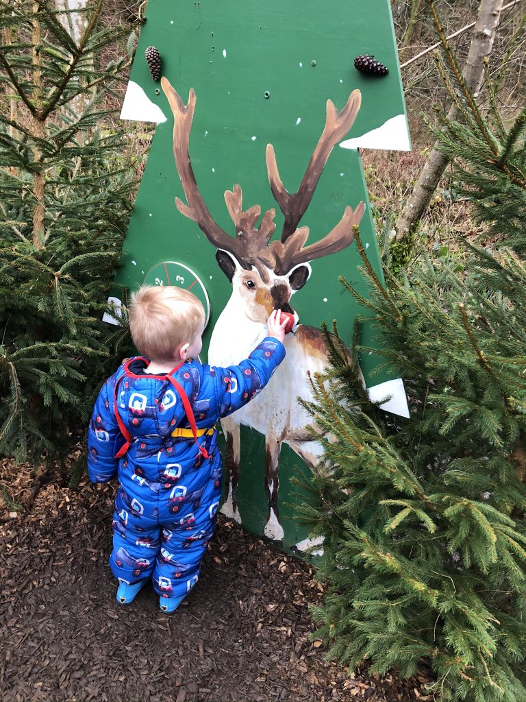 christmas walk at strid wood