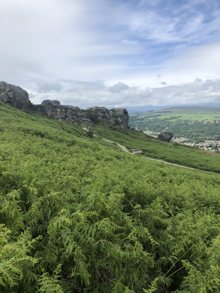 cow and calf rocks