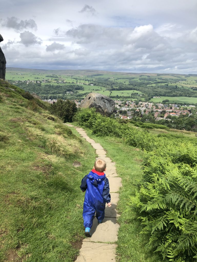 cow and calf ilkley