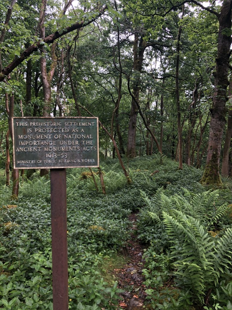 hidden folly in grass woods