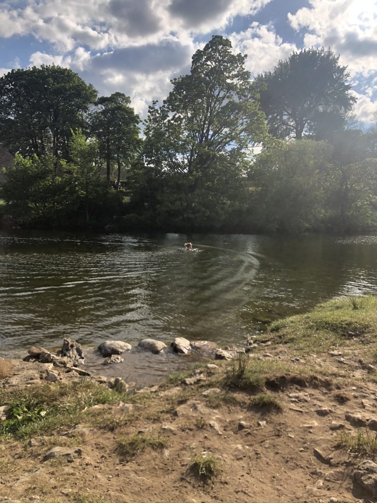 swimming in the river