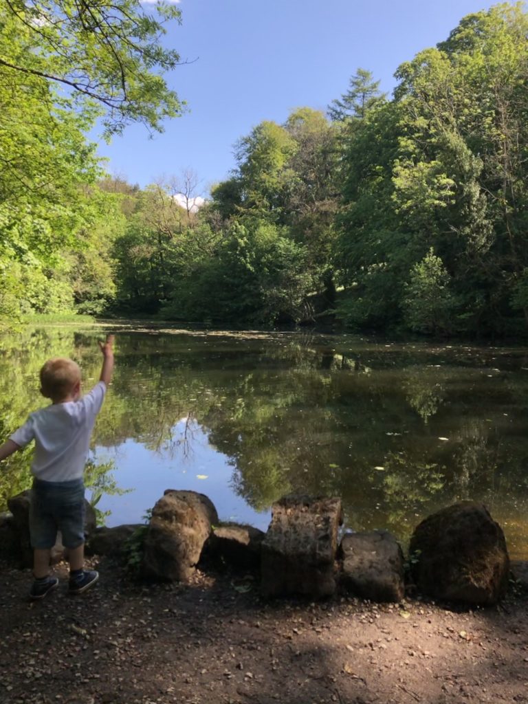 skipton woods tarn