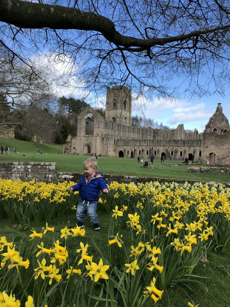 spring time at fountains abbey