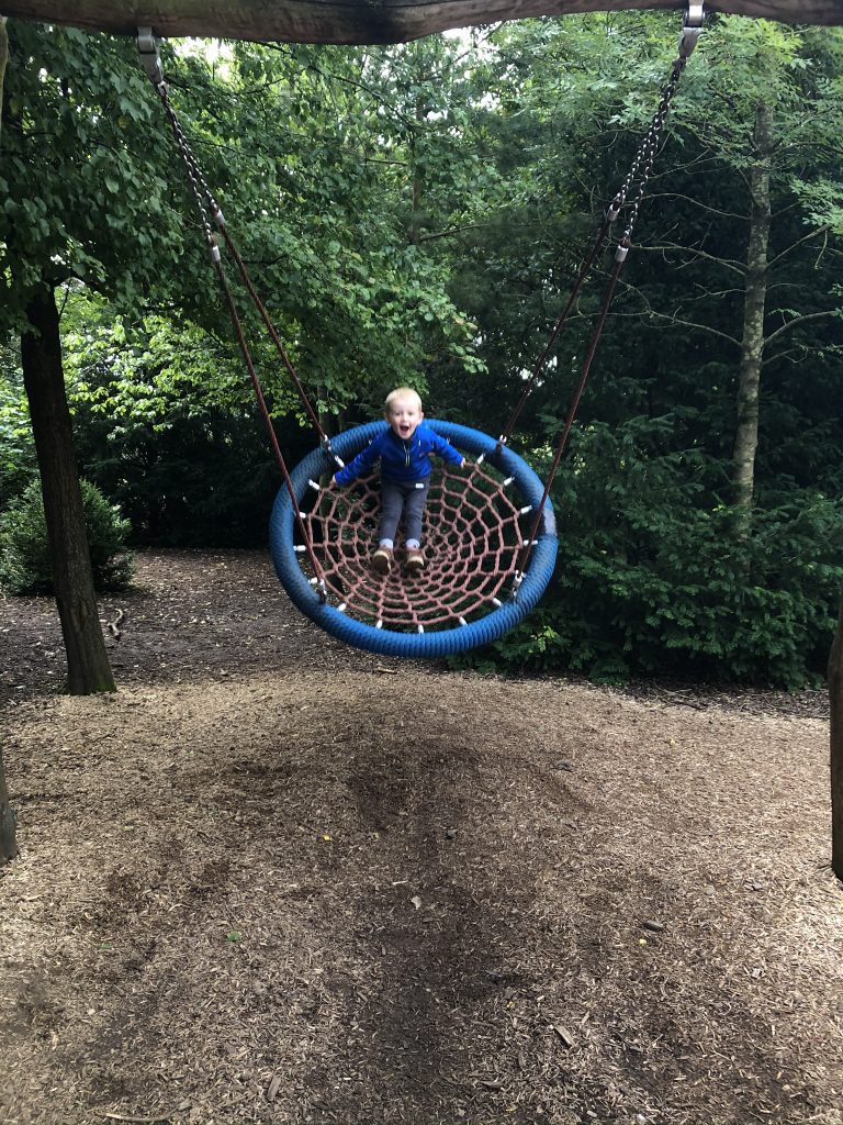 swing in the playground