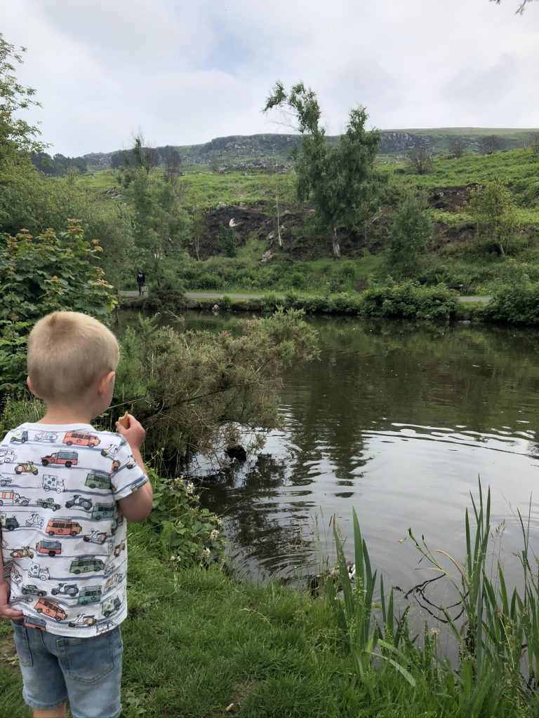 feeding the ducks at ilkley tarn