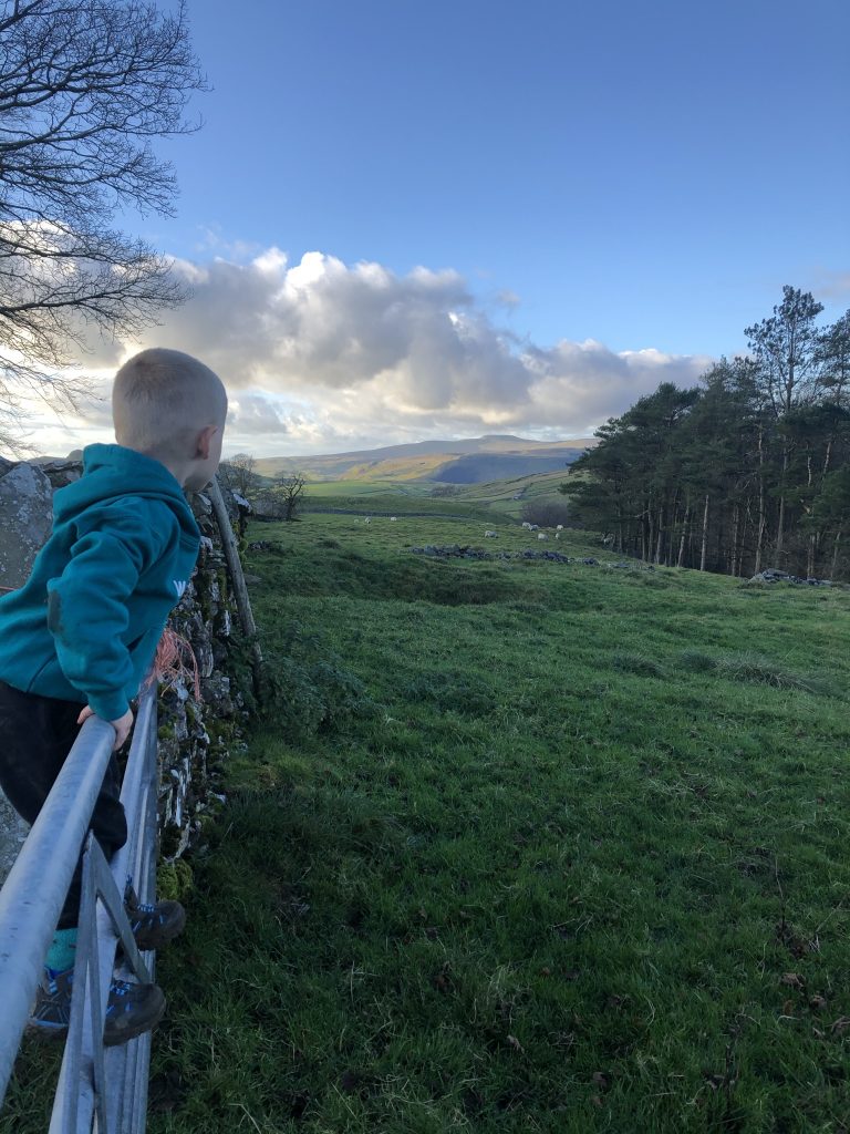 views from catrigg force