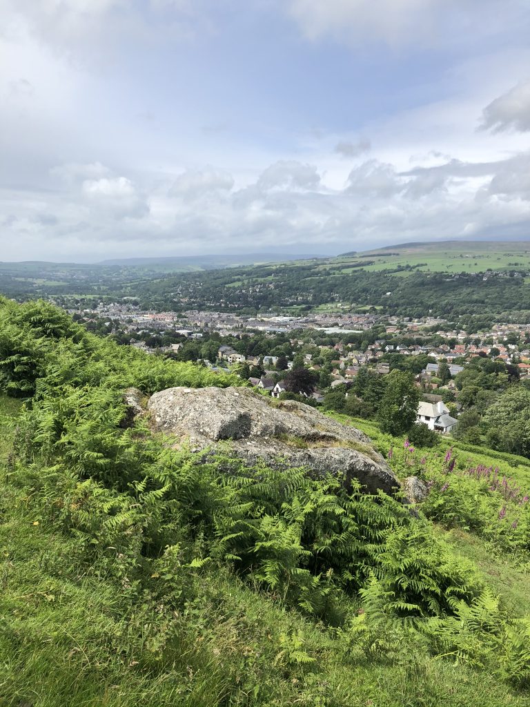 views from cow and calf ilkley