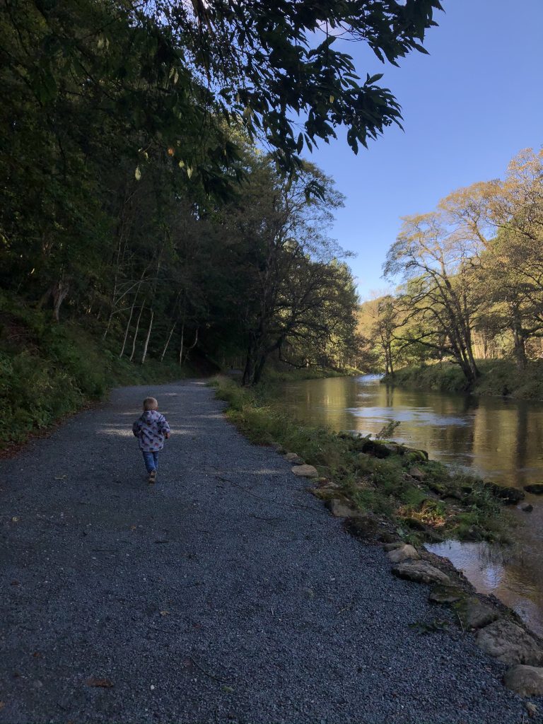 Accessible paths through the woods