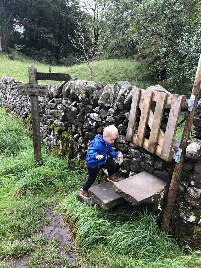 access to scaleber force