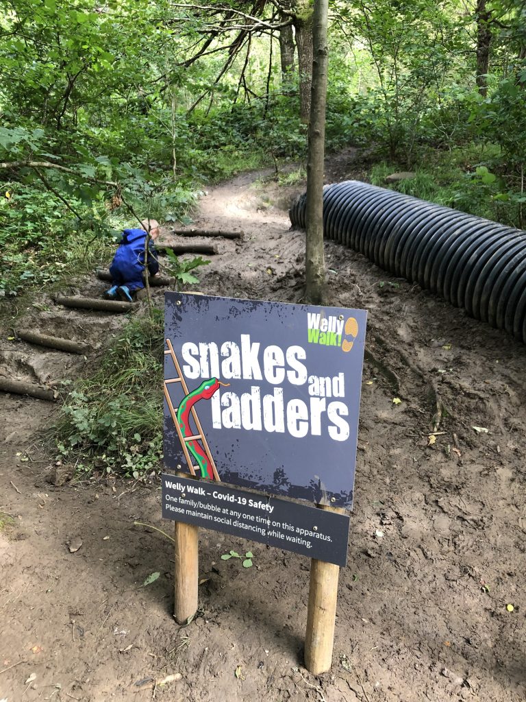 Snakes and ladders on the Welly Walk