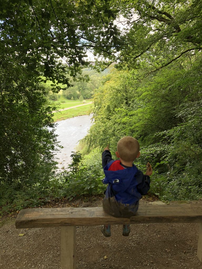 Views of the river Wharfe