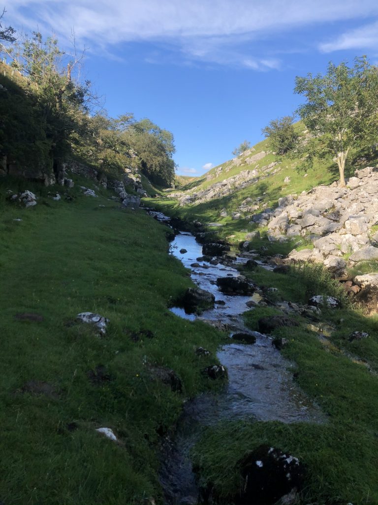 upstream of trollers gill