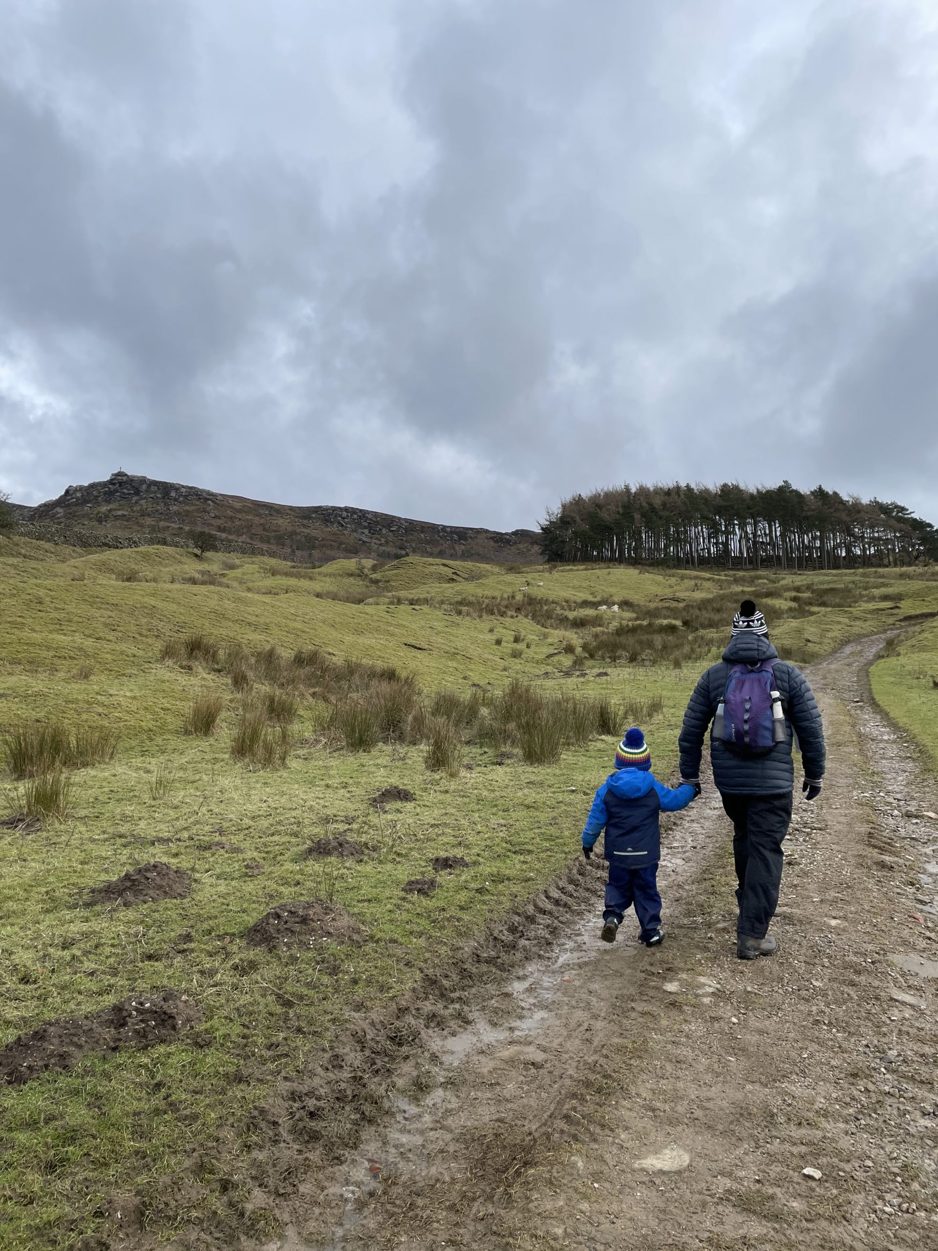 Rylstone Cross, near Skipton Little Miss Yorkshire
