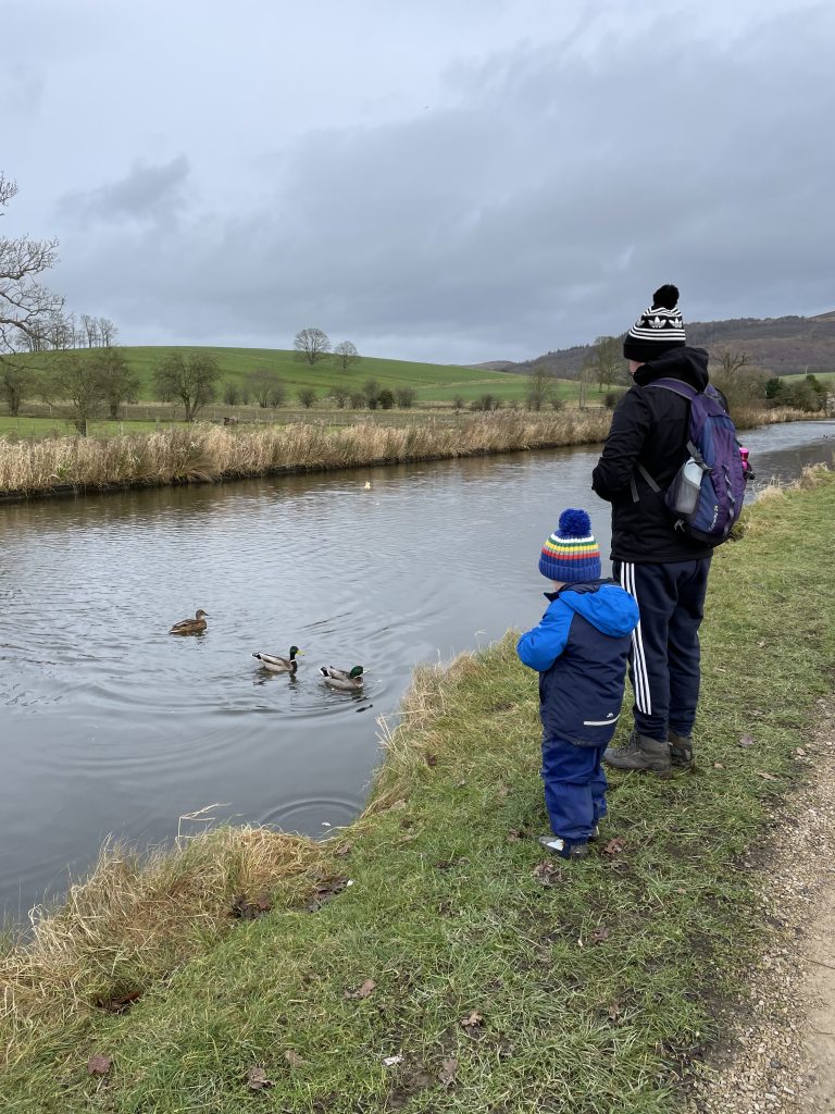 feeding the ducks along the canal