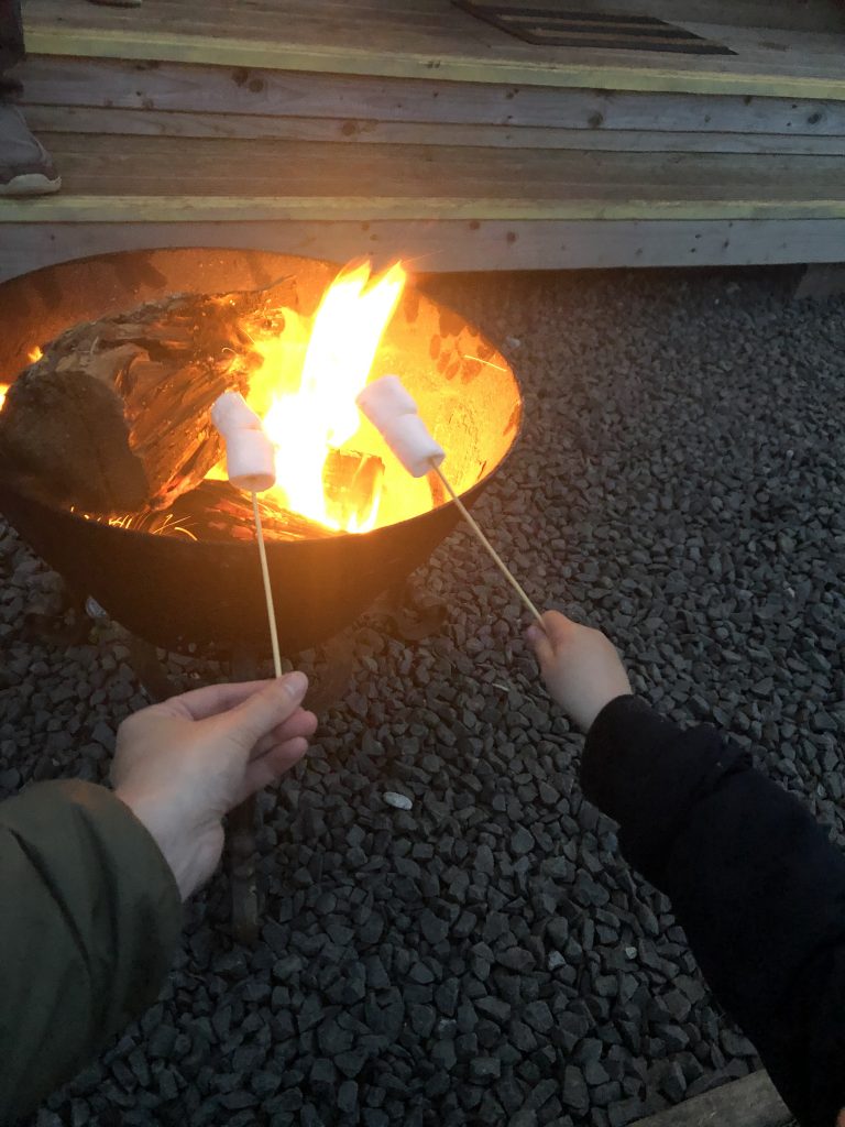 toasting marshmallows on the open fire