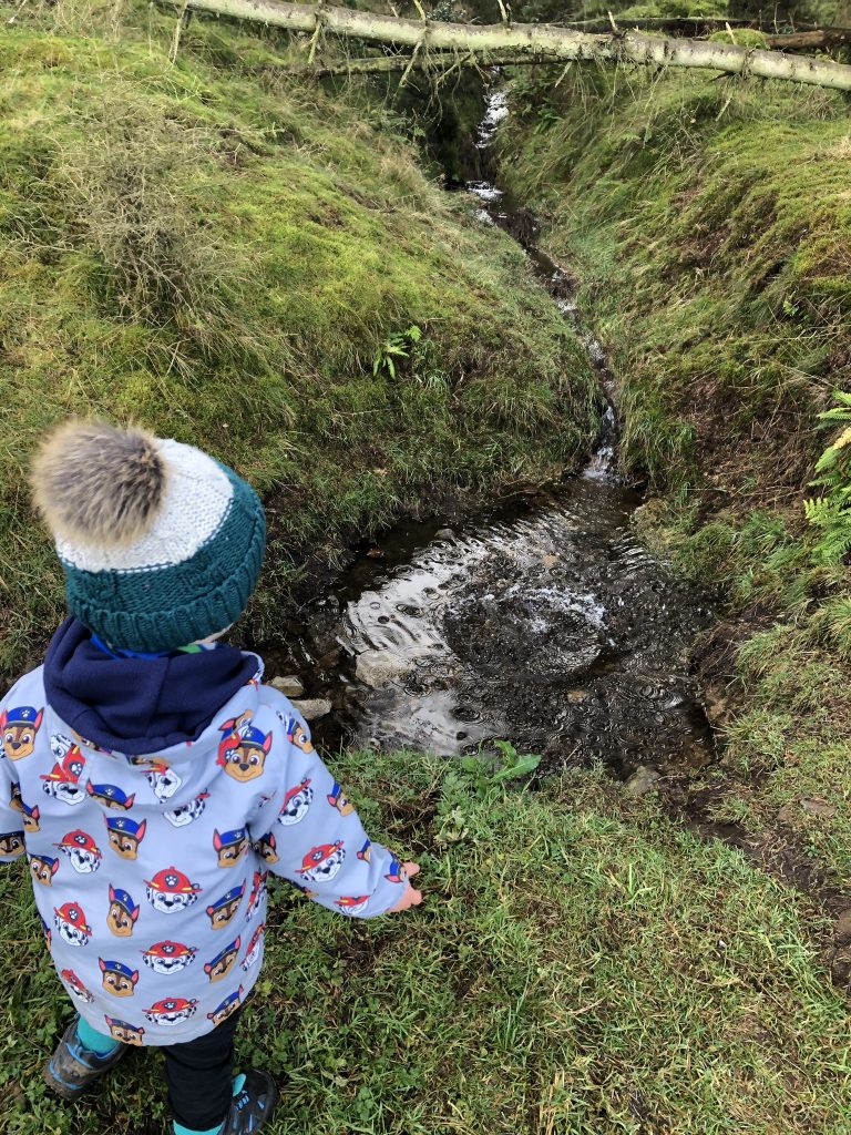 Playing in the woods and stream