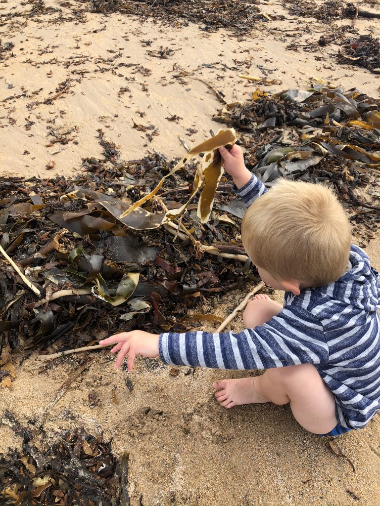 routing through seaweed on druridge beach