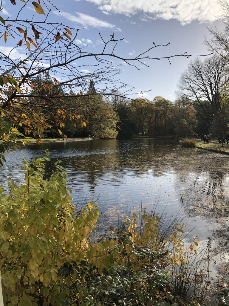 lake view at Thorp Perrow