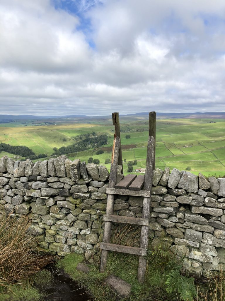 Wharfedale views