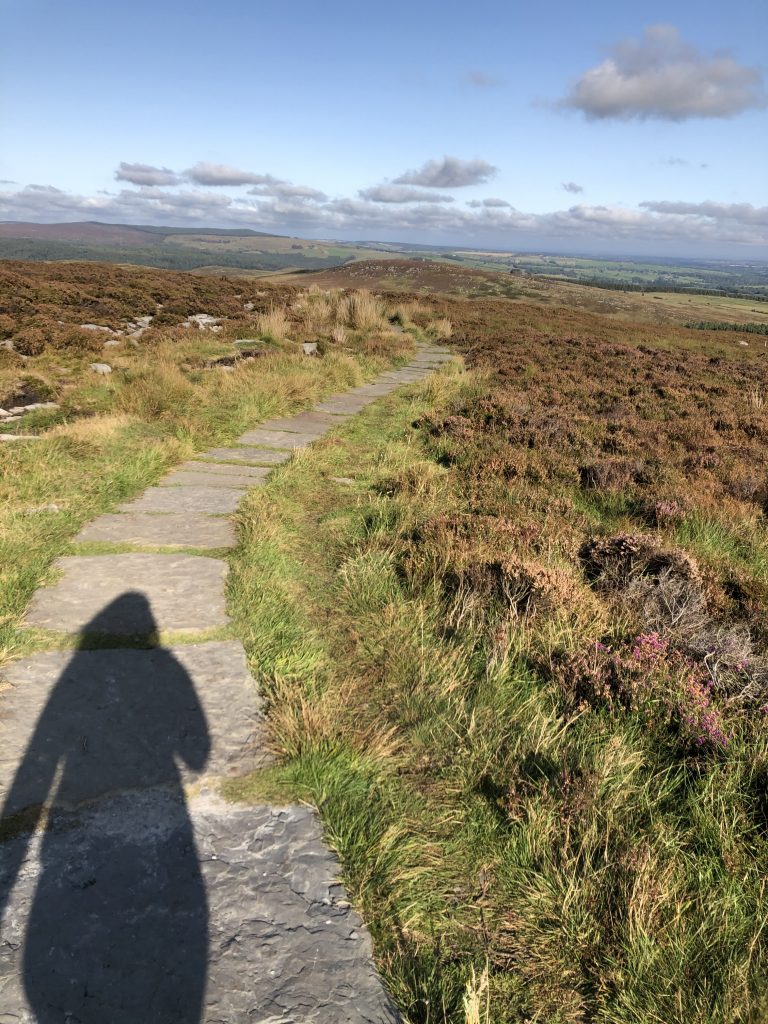 walking up simonside and admiring the view. love this northumberland view