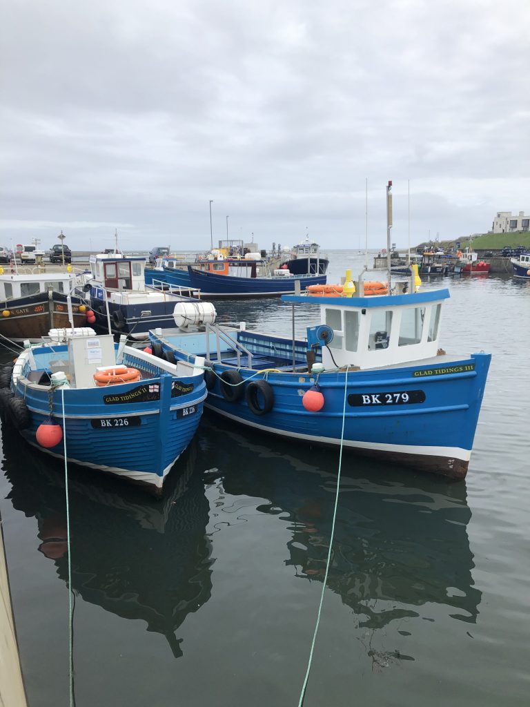 boats in the water at seahouses harbour