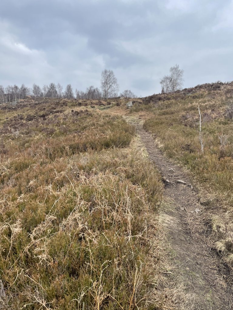 Farnhill moor paths