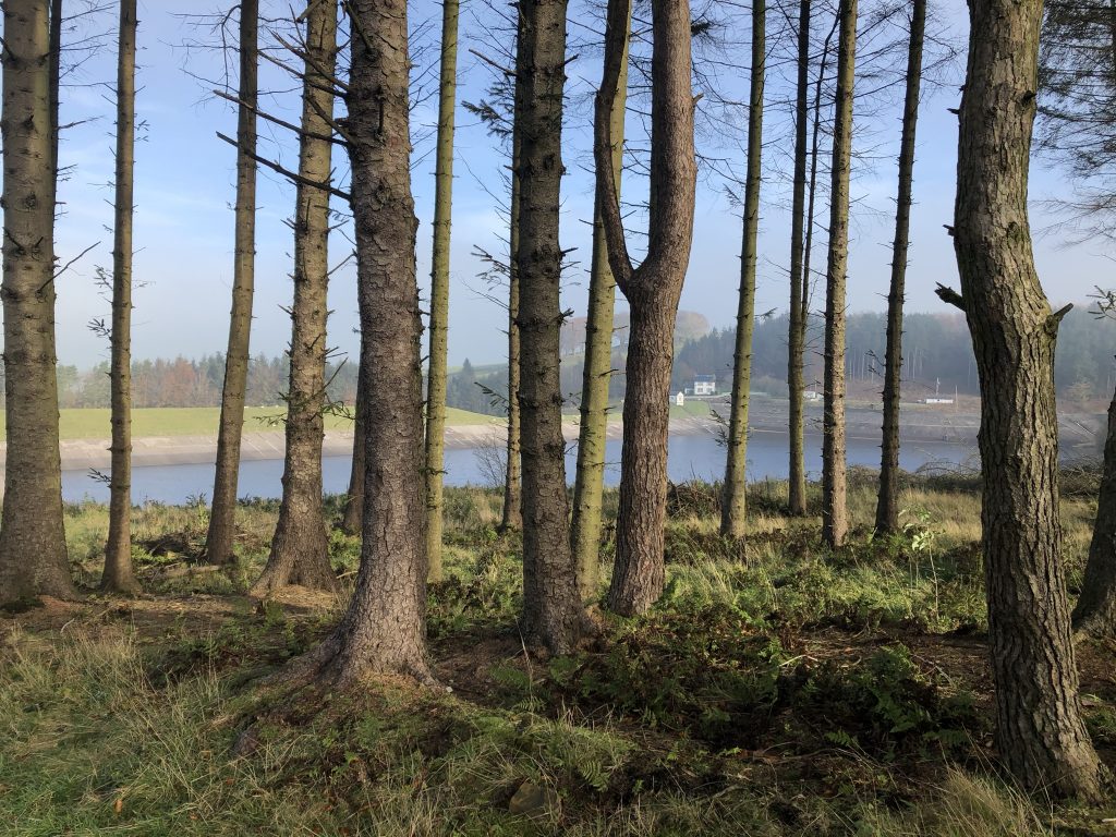 elslack reservoir