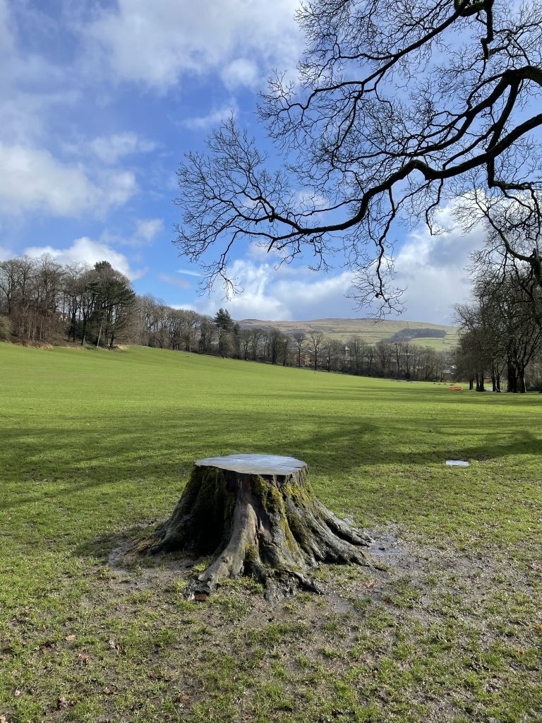 green open spaces in aireville park