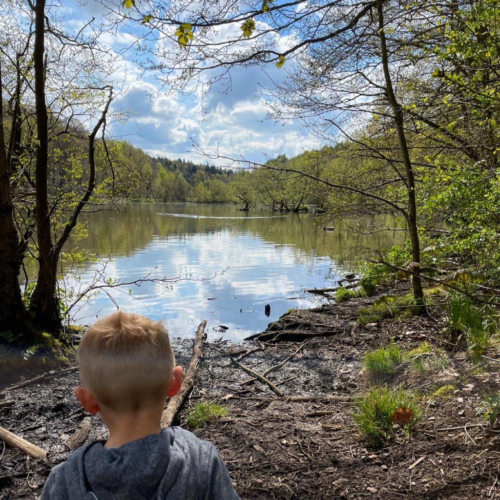 lake at newmillerdam