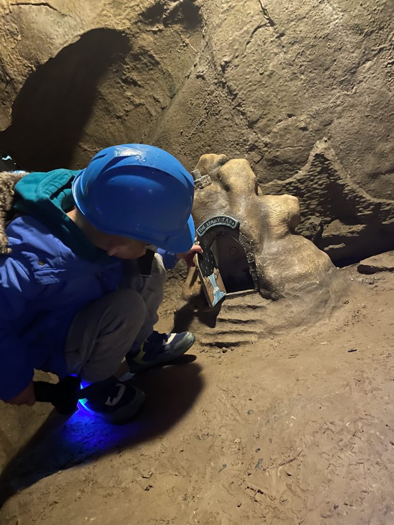 fairy doors at stump cross caverns