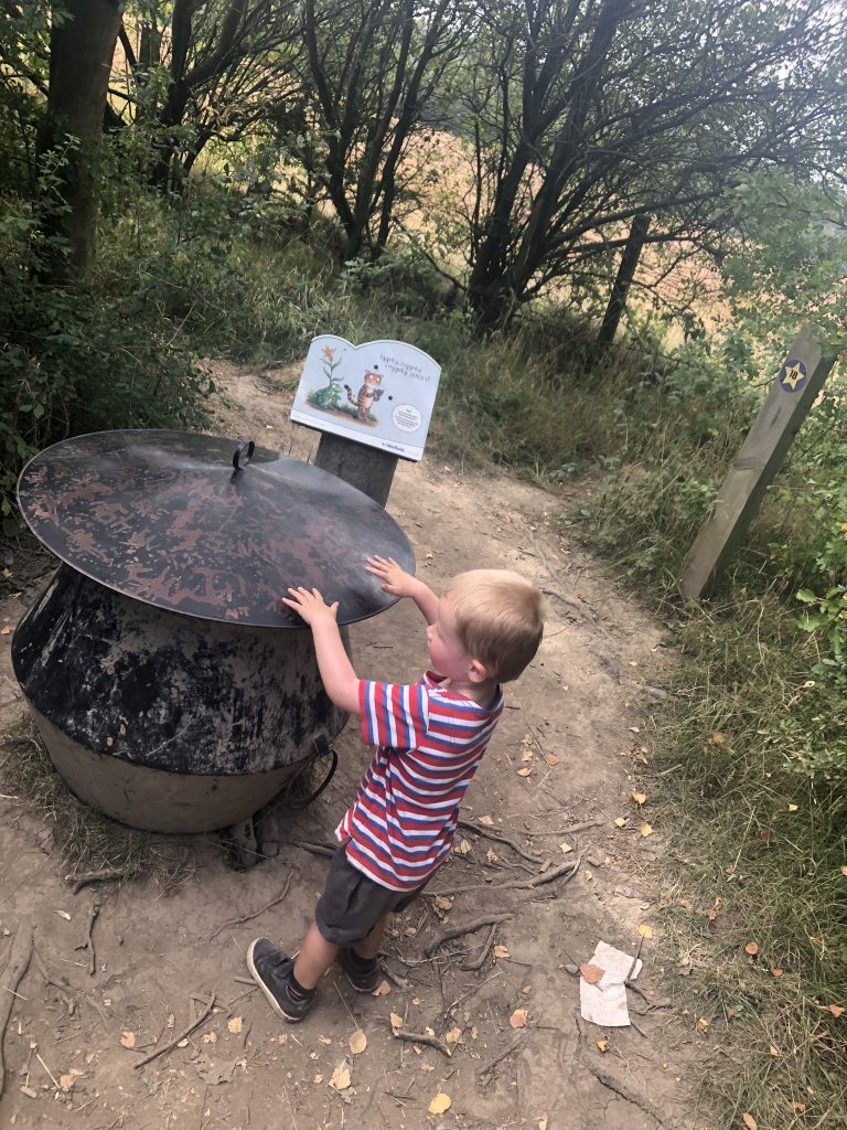 witch's cauldron