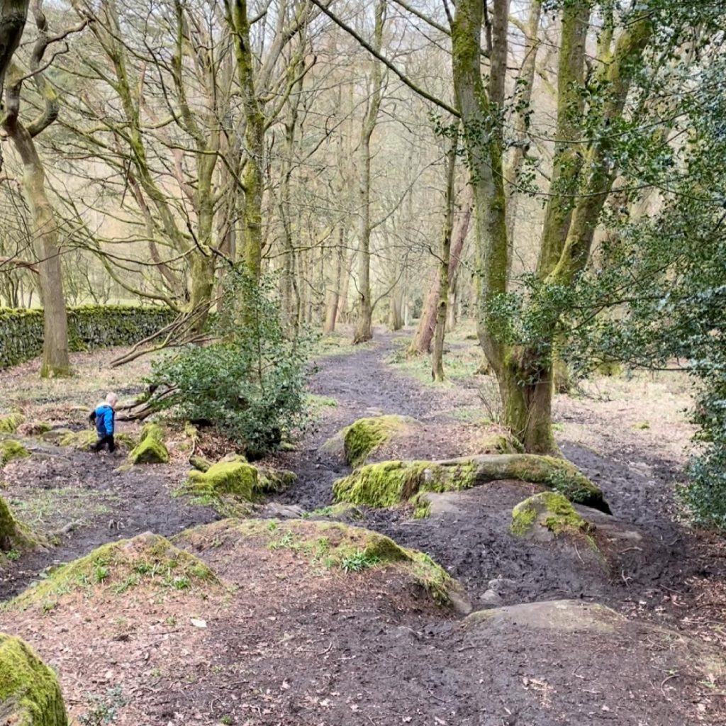 walking in Hebers Ghyll woodland