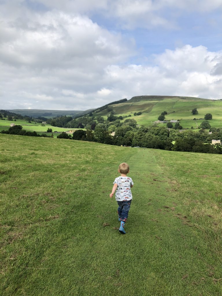 nidderdale views