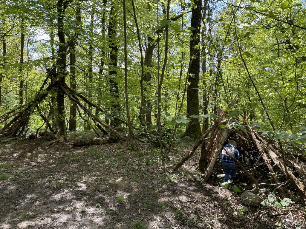 den building in skipton woods