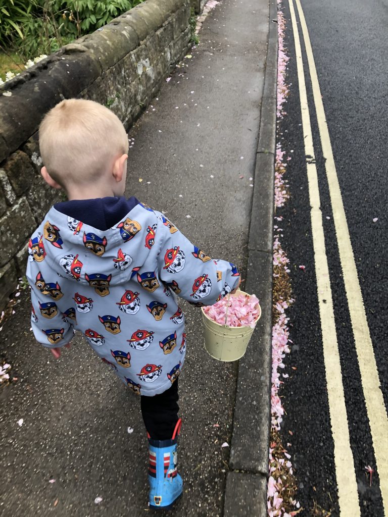 blossom collecting