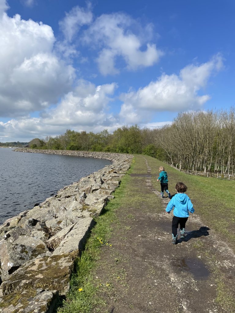 Lake Burwain paths