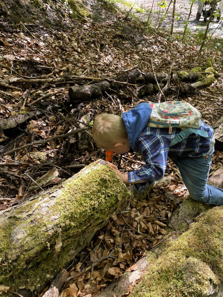 skipton woods wellness walk