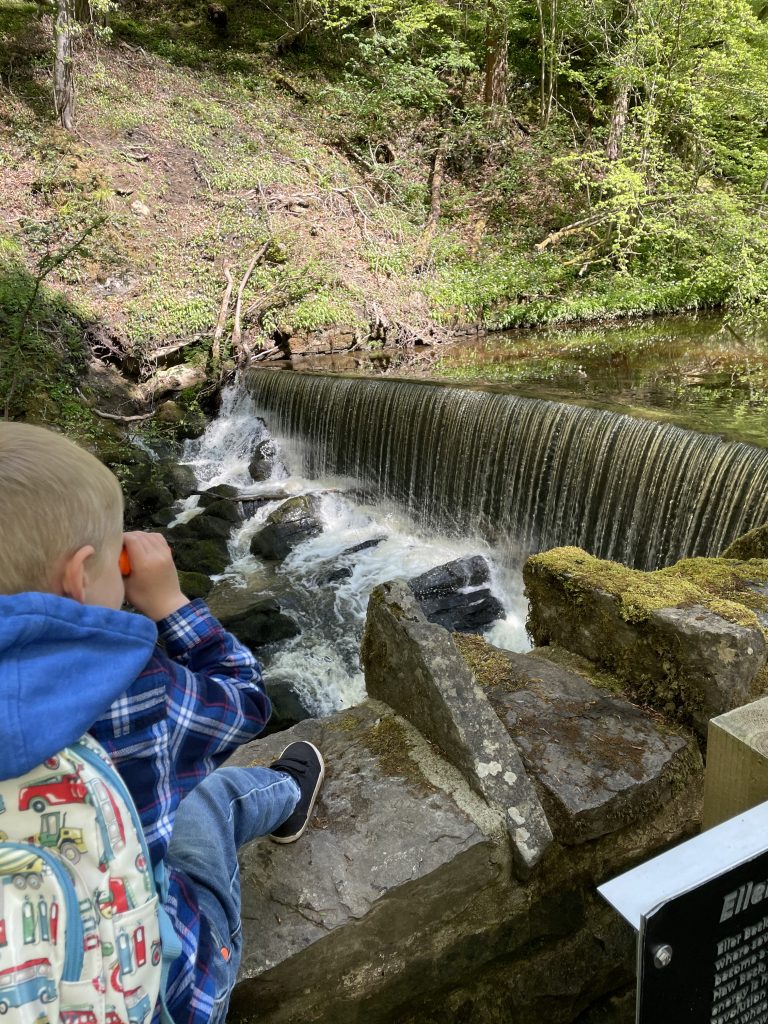 waterfall in skipton woods - wellness