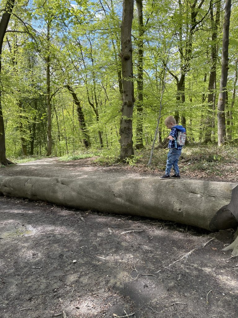 balancing on a log - physical wellness