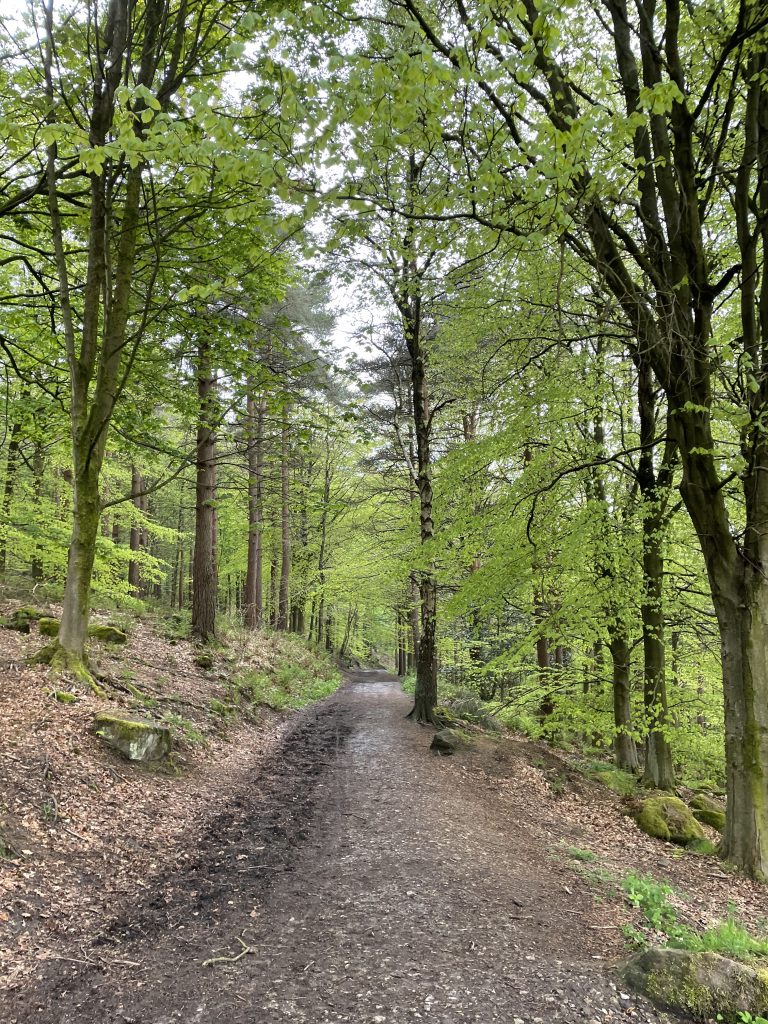 otley chevin woods