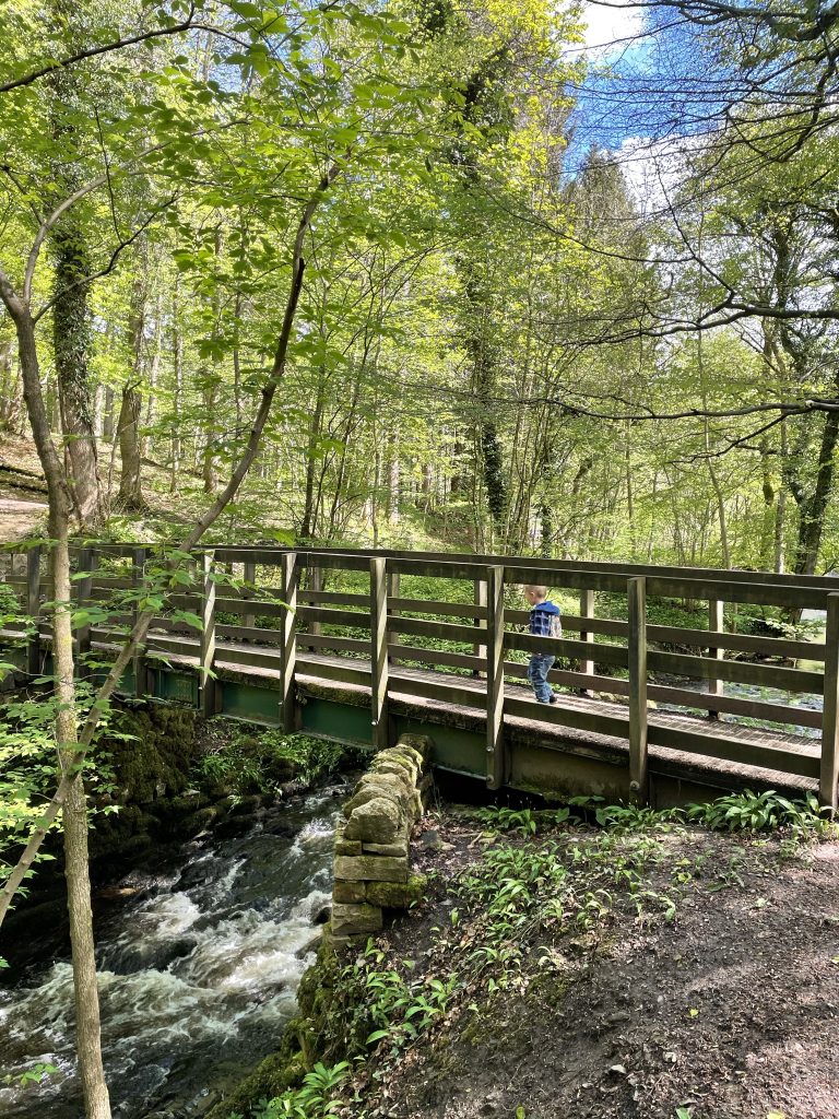 Playing pooh sticks